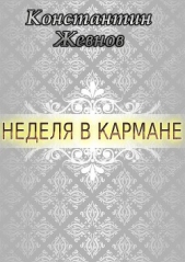  Жевнов Константин Александрович - Неделя в кармане (СИ)
