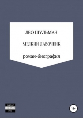 Мелкий лавочник, или Что нам стоит дом построить. Роман-биография - автор Шульман Лео 