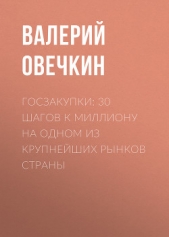 Госзакупки: 30 шагов к миллиону на одном из крупнейших рынков страны - автор Овечкин Валерий 