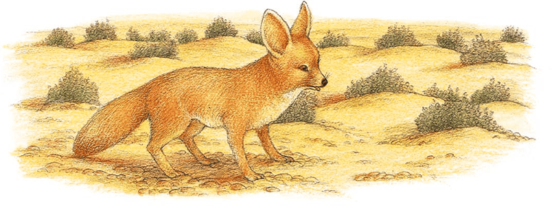 Летающий дом - i_011.png