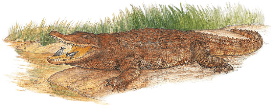 Летающий дом - i_020.png