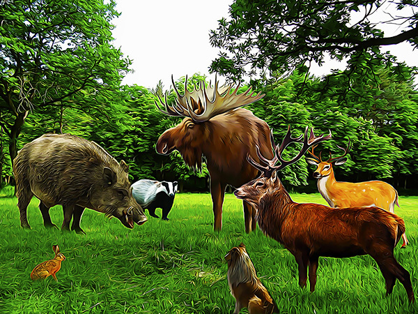 Написано лапой и хвостом - _12.jpg