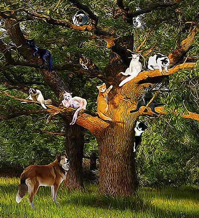 Написано лапой и хвостом - _3.jpg