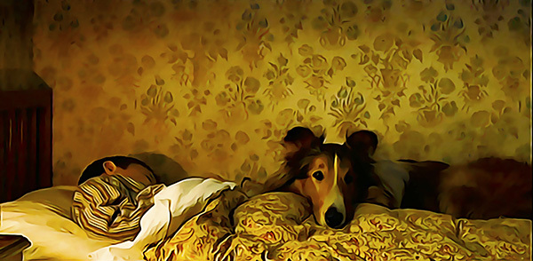 Написано лапой и хвостом - _8.jpg