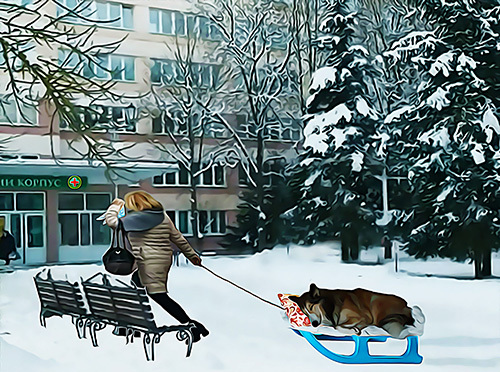 Написано лапой и хвостом - _4.jpg