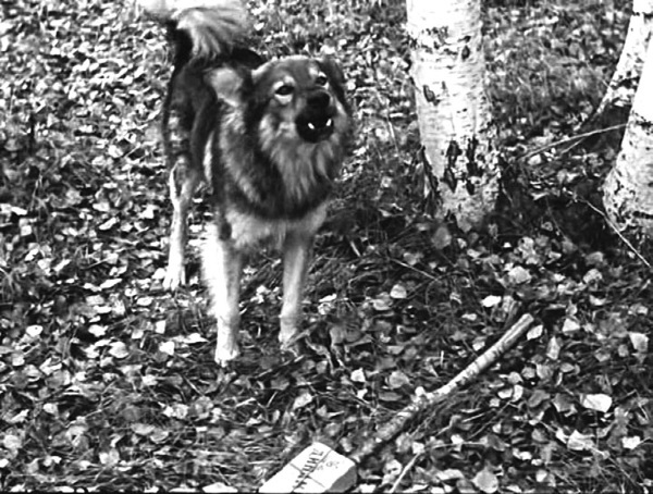 Леонид Гайдай. Любимая советская комедия - i_006.jpg