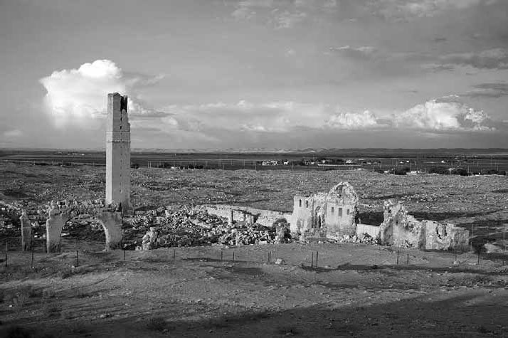 Анатолийская мечеть XI–XV вв. Очерки истории архитектуры - _6.jpg