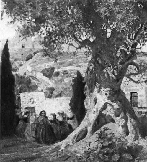 Любить Бога и любить человека. Домашние беседы - i_006.jpg