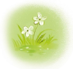 Как бы ты поступил? Сам себе психолог - i_006.jpg