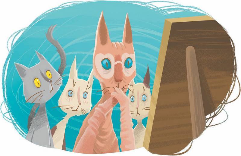 36 и 6 котов-детективов - i_014.jpg