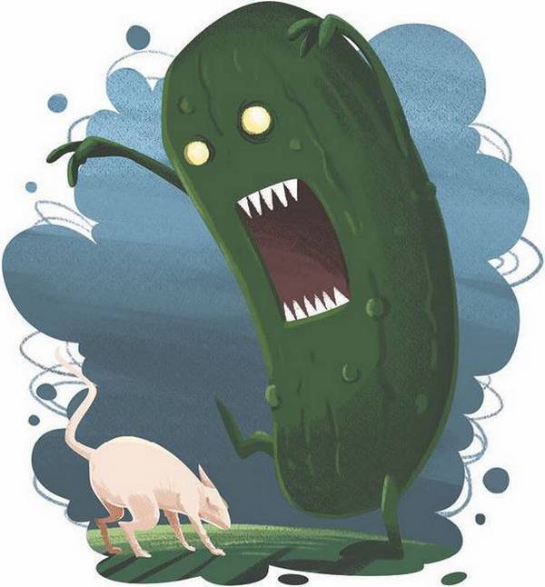 36 и 6 котов-детективов - i_015.jpg