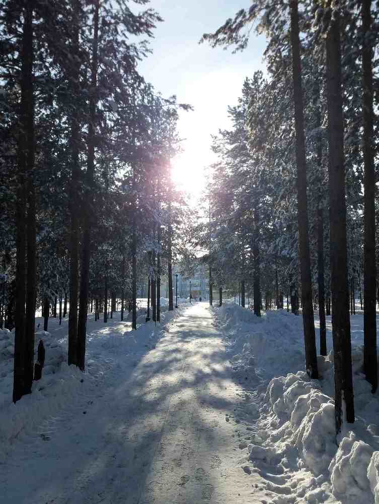 Двенадцать месяцев восхождения - _2.jpg