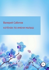  Сабитов Валерий - Котёнок по имени Малыш