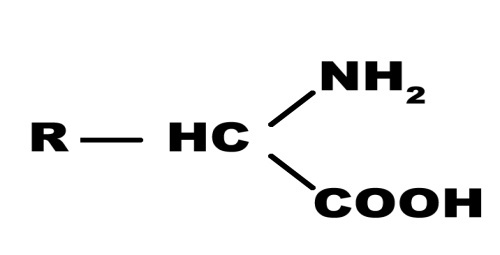 Современное сыроделие для всех. Часть первая - _2.jpg