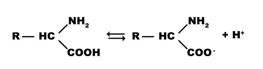 Современное сыроделие для всех. Часть первая - _3.jpg