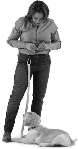 Дрессировка без наказания. Пять недель, которые сделают вашу собаку лучшей в мире - i_025.jpg