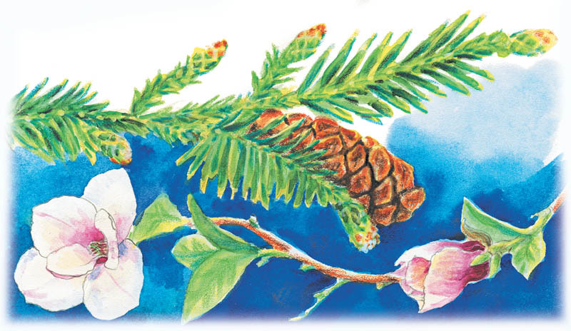 Коготь велоцираптора - i_011.jpg