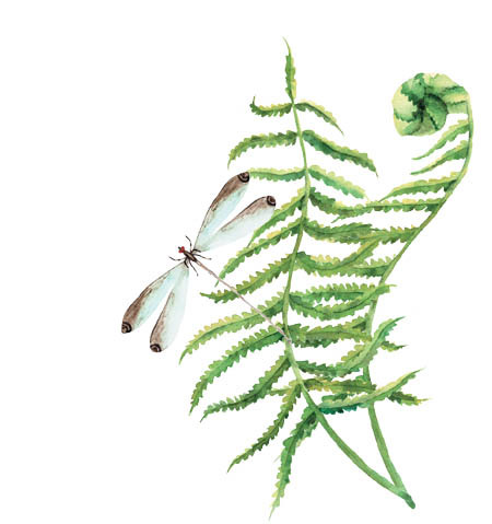 Коготь велоцираптора - i_017.jpg