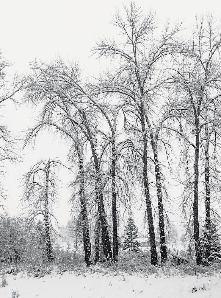 Воскресная мудрость. Озарения, меняющие жизнь - i_007.jpg