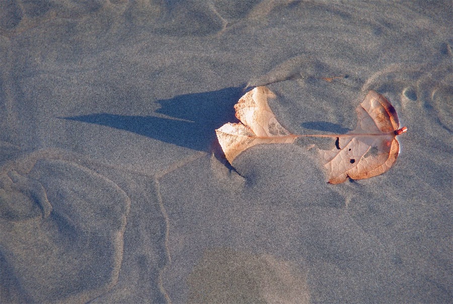 Воскресная мудрость. Озарения, меняющие жизнь - i_010.jpg