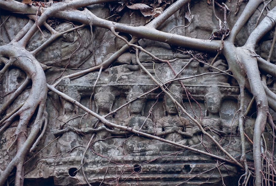 Воскресная мудрость. Озарения, меняющие жизнь - i_032.jpg