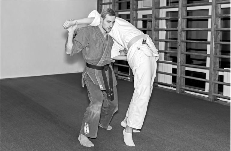 Боевые искусства. Путь к вершине мастерства - i_003.jpg