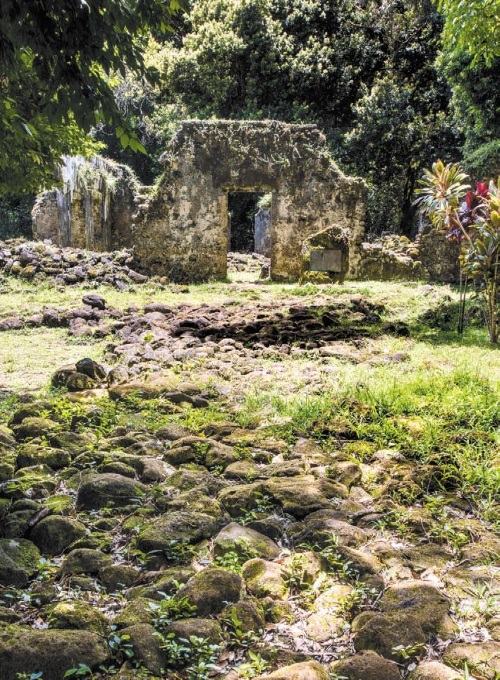 Хоопонопоно. Секреты и рецепты счастья - i_013.jpg