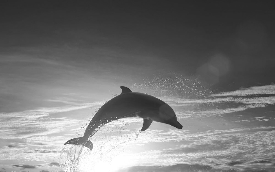 Трудоустройство по современной философии - _2.jpg