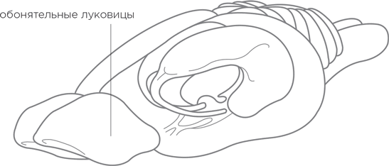 Биология добра и зла. Как наука объясняет наши поступки - i_003.png