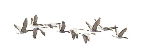 Путешествие Нильса с дикими гусями - i_010.jpg