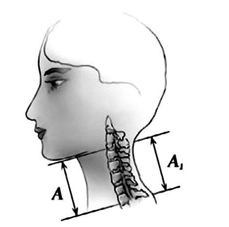 Система Осьмионика: красивая осанка, стройность и молодость - i_001.jpg