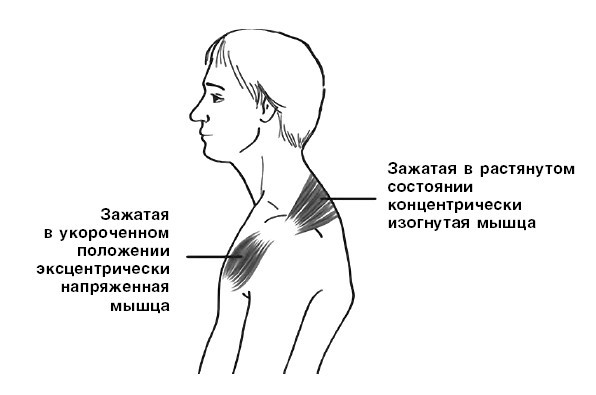 Система Осьмионика: красивая осанка, стройность и молодость - i_010.jpg