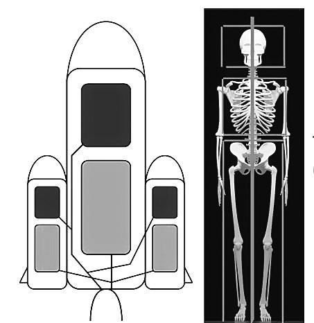 Система Осьмионика: красивая осанка, стройность и молодость - i_013.jpg