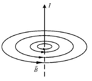 Система Осьмионика: красивая осанка, стройность и молодость - i_021.jpg