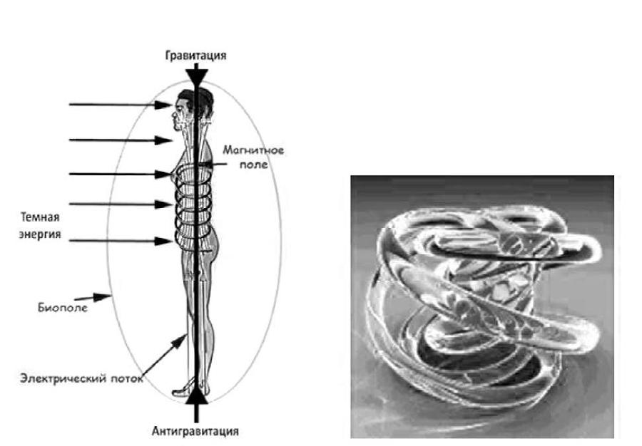 Система Осьмионика: красивая осанка, стройность и молодость - i_025.jpg