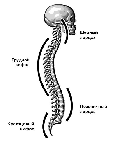Система Осьмионика: красивая осанка, стройность и молодость - i_037.jpg