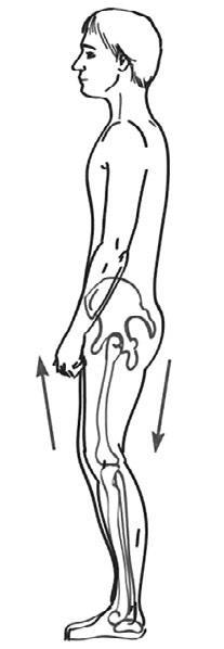 Система Осьмионика: красивая осанка, стройность и молодость - i_042.jpg
