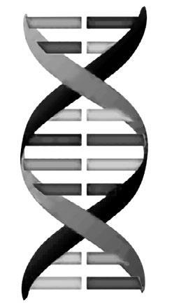 Система Осьмионика: красивая осанка, стройность и молодость - i_046.jpg