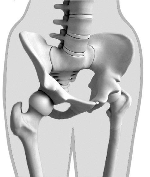 Система Осьмионика: красивая осанка, стройность и молодость - i_057.jpg
