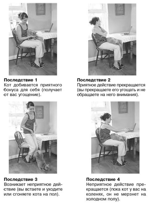 Как воспитать вашу кошку - i_003.jpg