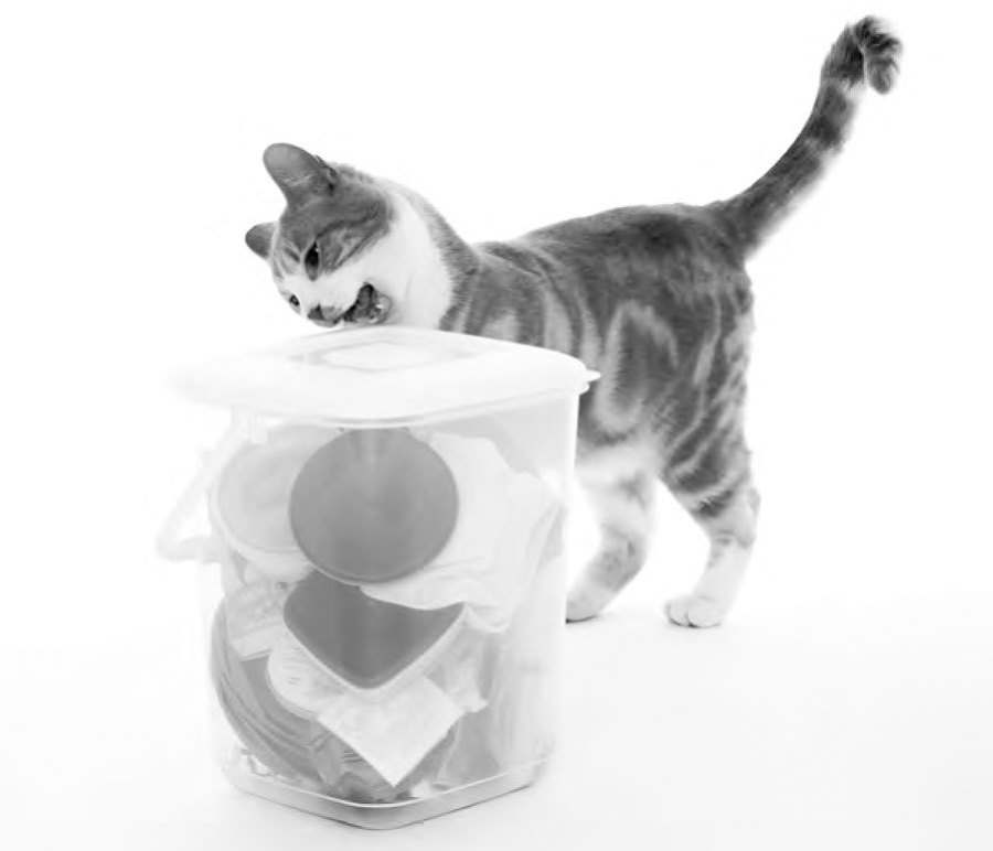 Как воспитать вашу кошку - i_006.jpg