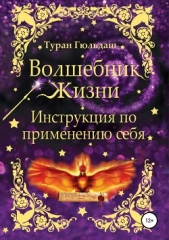 Волшебник жизни. Инструкция по применению себя - автор Гюльдаш Туран 