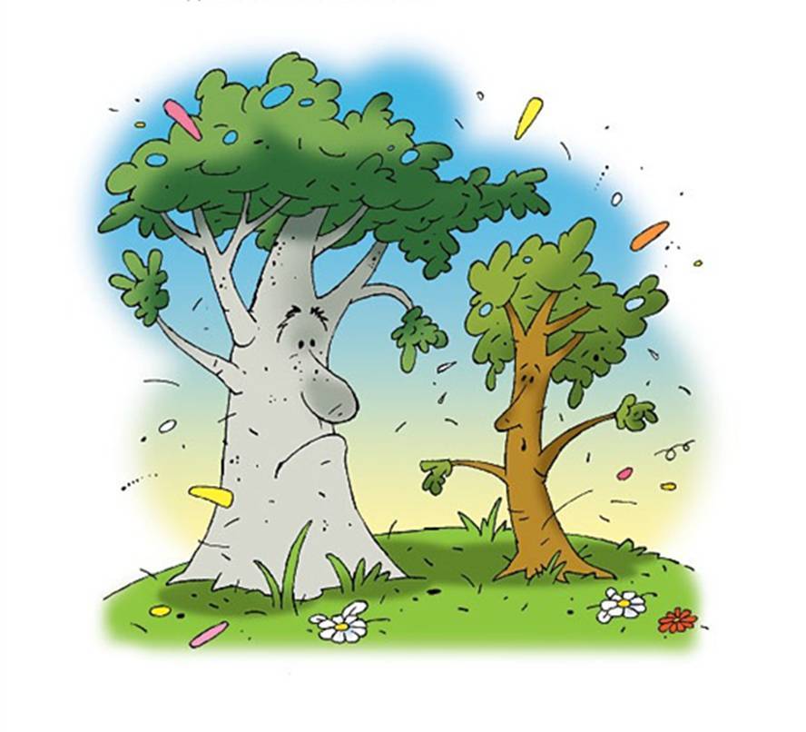 Волшебные тропинки - _1.jpg