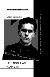  Михайлик Елена - Незаконная комета. Варлам Шаламов: опыт медленного чтения