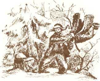 Латышские народные сказки - _96124.jpg