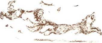 Латышские народные сказки - _9631.jpg