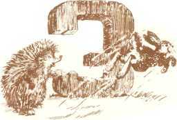 Латышские народные сказки - _9679.jpg