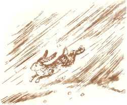 Латышские народные сказки - _9687.jpg