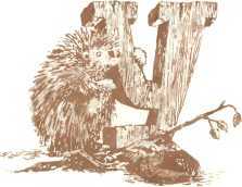 Латышские народные сказки - _96165.jpg