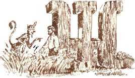 Латышские народные сказки - _96208.jpg